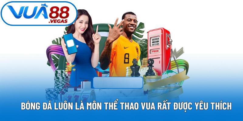 Bóng đá luôn là môn thể thao vua rất được yêu thích