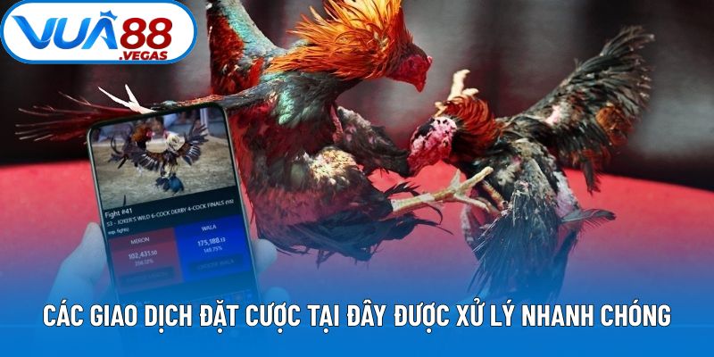 Các giao dịch đặt cược tại đây được xử lý nhanh chóng
