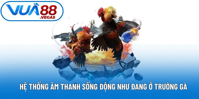 Hệ thống âm thanh sống động như đang ở trường gà