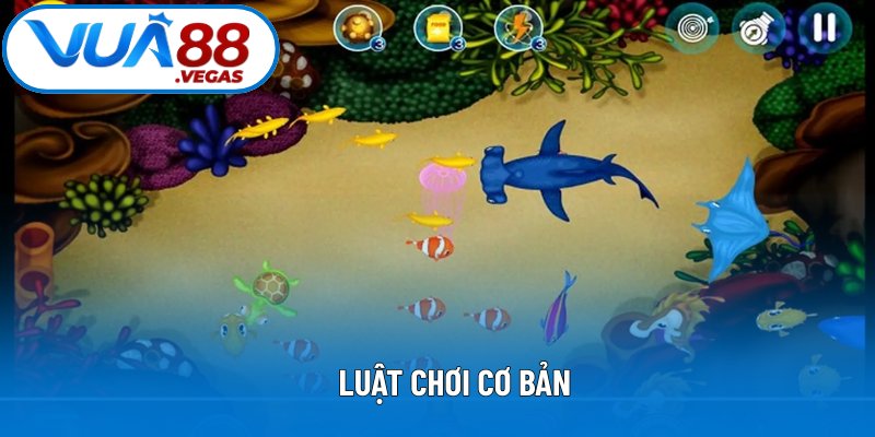 Luật chơi cơ bản là thông tin cần nắm rõ