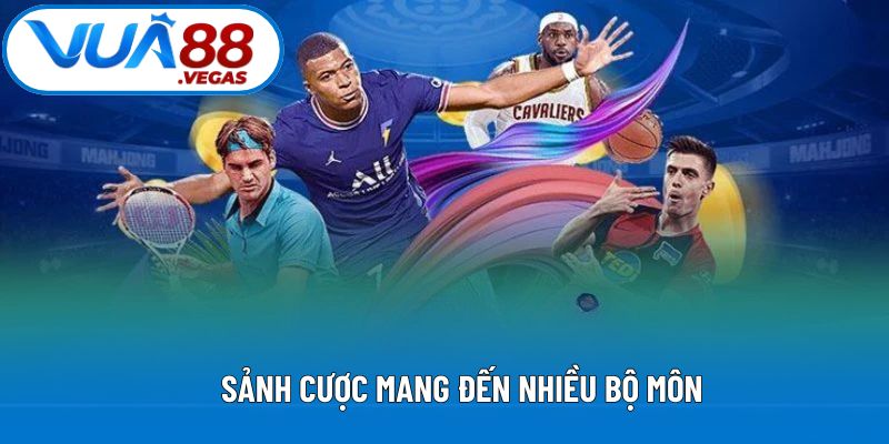 Sảnh cược mang đến nhiều bộ môn