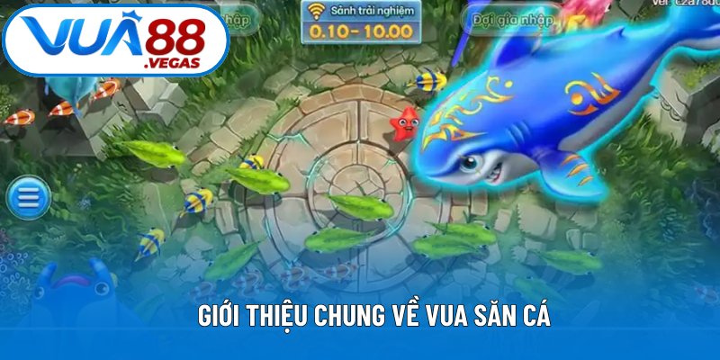 Vua Săn Cá khám phá đại dương, săn thưởng hấp dẫn